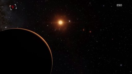 Scientists Named Huge Space Discovery After Beer