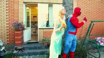Frozen Elsa & Spiderman vs Maleficent! w/ Pink Spidergirl, Joker, Hulk, Catwoman, Minions