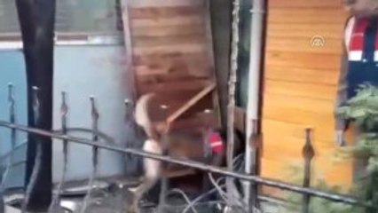 Keşan Uyuşturucu Operasyonu