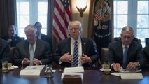 Trump complains of 'partisan obstruction' at first Cabinet meeting