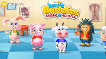 Little Buddies Animal Hospital | Animal Doctor Care For Kids | tutotoons games