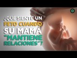 ¿Qué siente un feto cuando su madre “mantiene relaciones”?