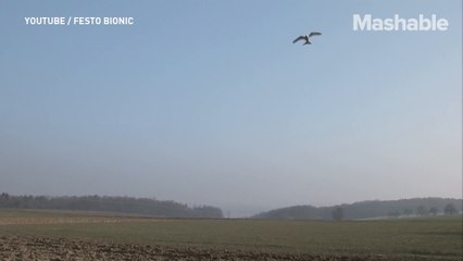 These flying robots will soothe your workday blues