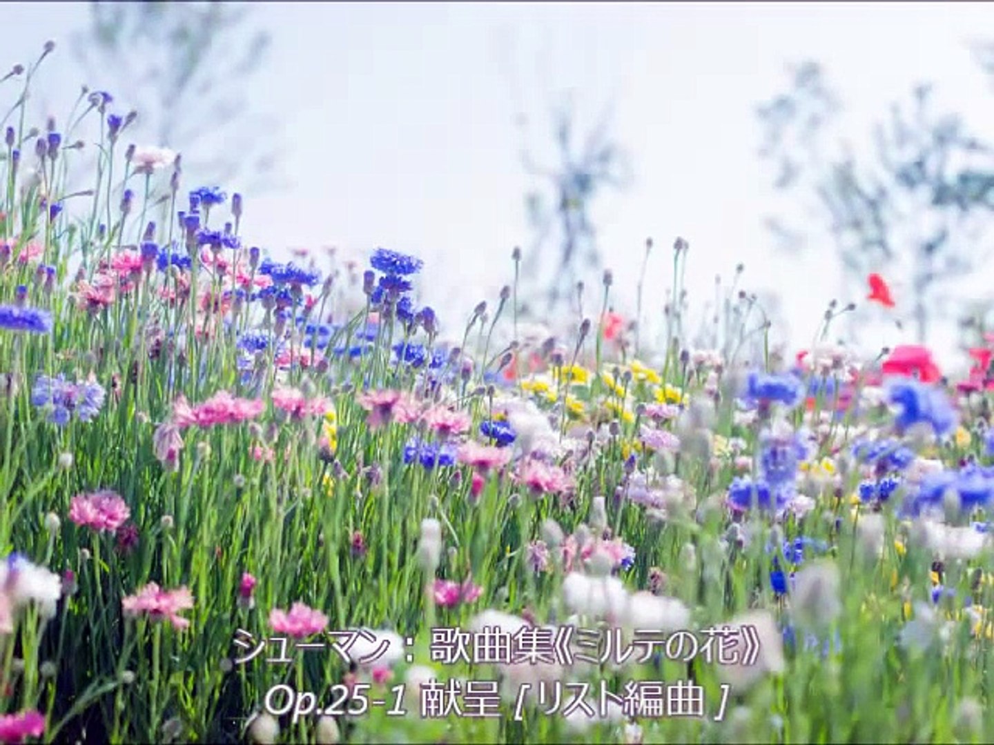 シューマン 歌曲集 ミルテの花 Op 25 1 献呈 リスト編曲 Video Dailymotion