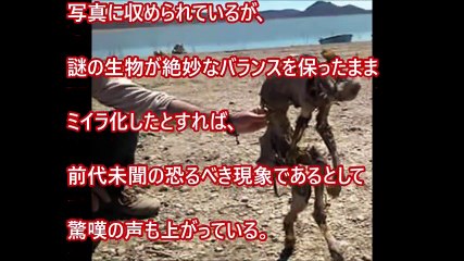 【閲覧注意】衝撃！立ったままの謎のミイラがメキシコで発見された!!チュパカブラか!?【世界のUMA（未確認生物）】