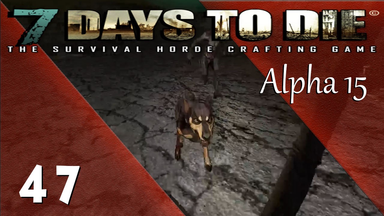 Ich bin voll der tierliebhaber , total ! aufregende nachtwanderung mit vielen hunden und zobies