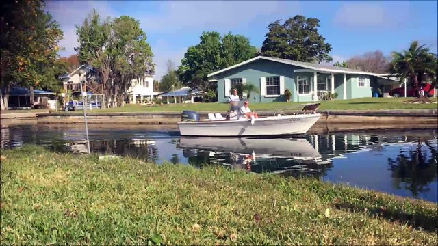HOMOSASSA + CRYSTAL RIVER AND THE MANATEES