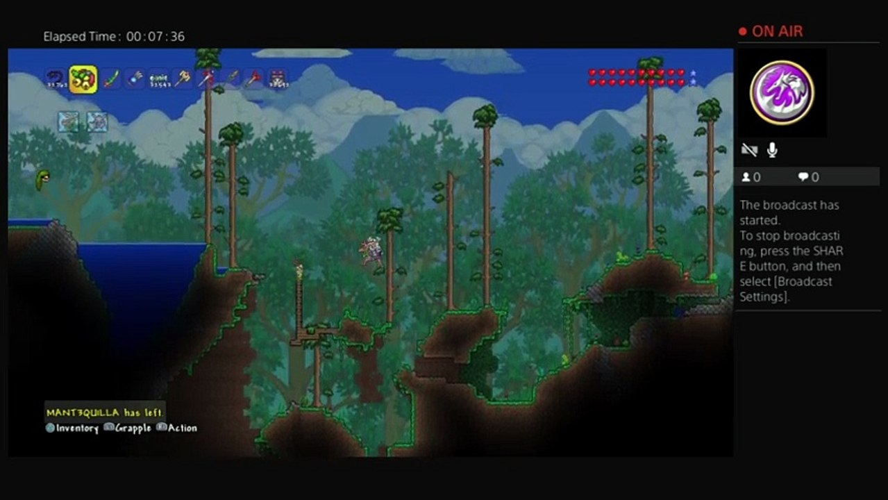 Terraria (10)