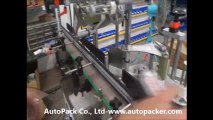 LRT-400 t Automatic Round Bottle Labeler