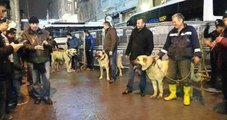 Protestocular, Hollanda Başkonsolosluğu Önünde Kangal Köpekli Eylem Yaptı