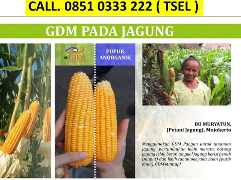 Pupuk Cair Organik - CALL 0851 0333 222 ( TSEL )