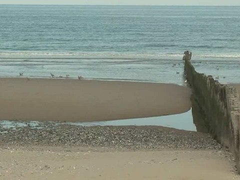 côte d'opale_de calais au cap gris nez.