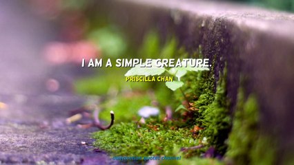 Priscilla Chan Quotes