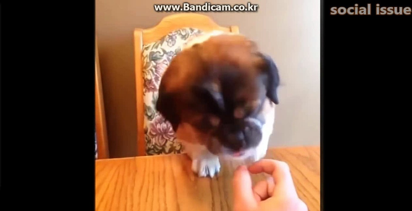 벳친 http://betchin.co.kr 꽁머니
