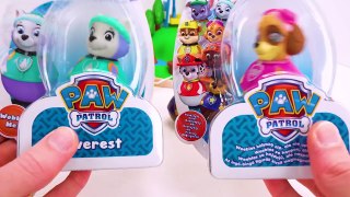 Best Preschool Learning Video for Toddlers Teach Colors for Kids Paw Patrol Weebles Toy Playset!-e0bGwPFVlQk