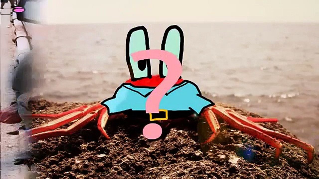 Wie konnte MR KRABS einen WAL zeugen Jow Tommy ! -TrollwutTV (Reupload)