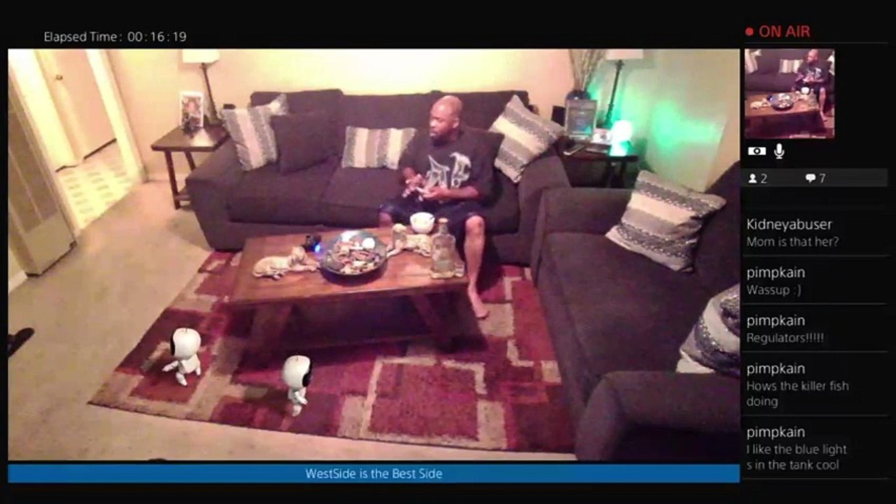 MR252ND's Live PS4 Broadcast (21)