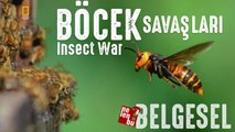 Böcek Savaşları Belgesel - National Geographic