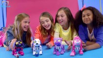 Best Toys for Kids  All New Zoomer  Toys Commercials