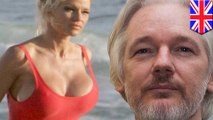 Pamela Anderson dicurigai berhubungan dengan pendiri Wikileaks - Tomonews