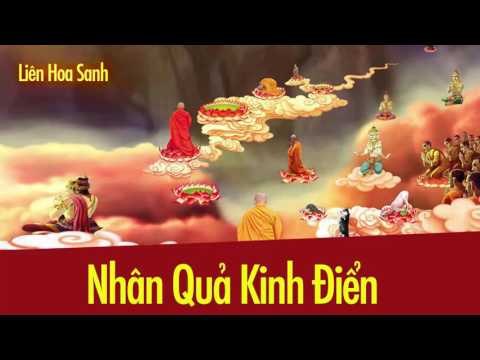 Kể Truyện Đêm Khuya - Truyện Nhân Quả Báo Ứng - Những Lời Phật Dạy