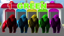 Learn Colors & Numbers with Animal! Color Gorilla! Learning Video for Kids & Toddlers
