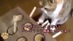 モグラ叩きのカラクリが分ってしまった猫ちゃん2【動物字幕】