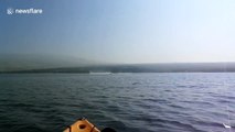 Large humpback whale breaches close to kayakers