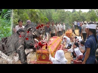 Quái vật "Lợn Rừng" tàn sát thương tâm 1 gia đình dã man,tàn khốc