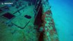 Eerie ship wreck dive with nurse sharks lurking in the shadows