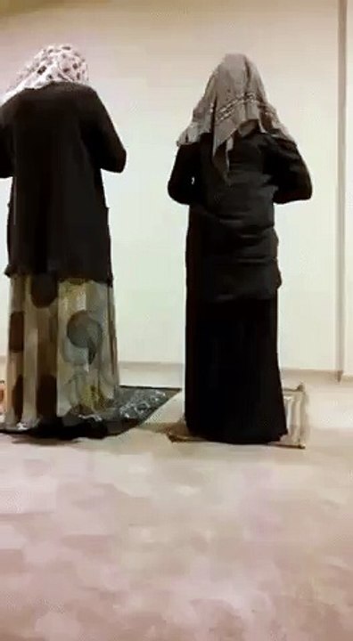 funny videos