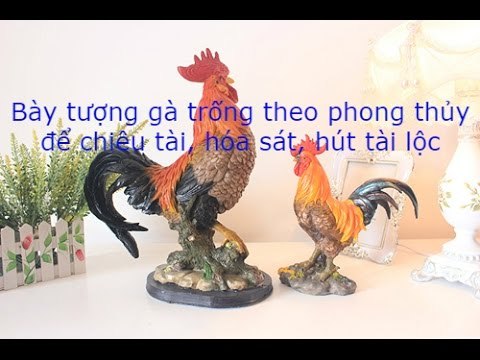 Bày tượng gà trống theo phong thủy để chiêu tài, hóa sát, hút tài lộc