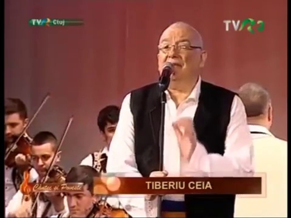 Tiberiu Ceia - Pavele, Pavele