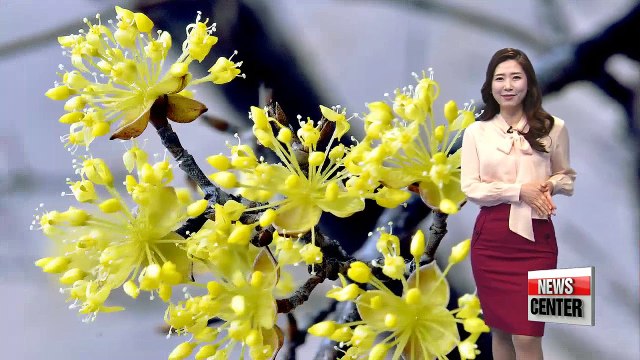 Milder and sunnier highs in store