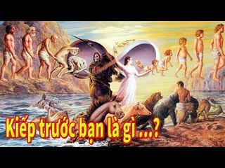 Sự thật kinh hoàng về kiếp trước bạn đã đầu thai bao nhiêu lần !