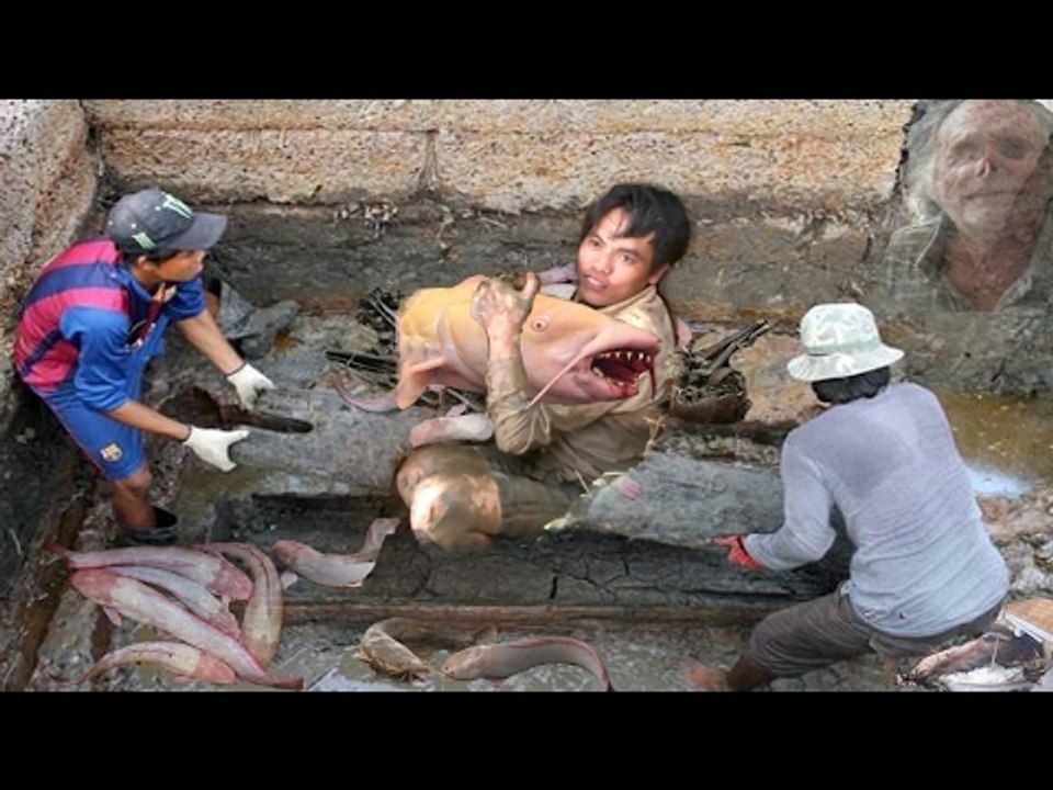 Ngày sang cát ông nội cả dòng họ sợ hãi khi phát hiện cá trê lúc nhúc