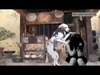 Kinh hoàng 'Con chó mất dậy phá nát đời con gái nữ sinh 18 tuổi'