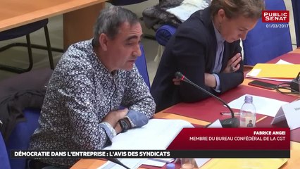 Démocratie participative - Les matins du Sénat (13/03/2017)