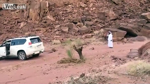 Ils essaient d’arracher un vieil arbre mais ce qui leur arrive les laissent sans voix !