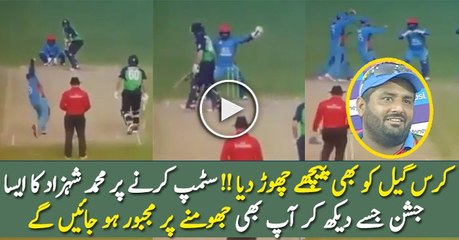 Check out the Celebration of Afghani Player Muhamamd Shehzad After Doing Stumping