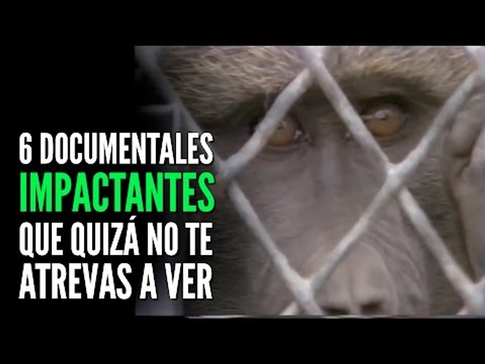 6 Documentales IMPACTANTES que quizá no te atrevas a ver