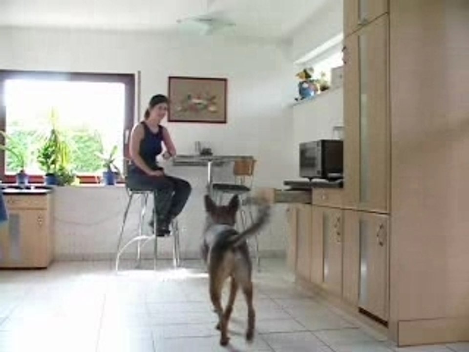 Apprentissage au shaping : fermer un tiroir !