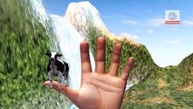 Dedo de la Familia de canciones infantiles para los Niños de la Vaca de dibujos animados | el Dedo de la Familia de los Niños de la Guardería Rh