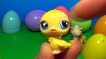 6 Littlest Pet Shop surprise eggs! LPS surprise eggs! Each egg holds a different lovable p