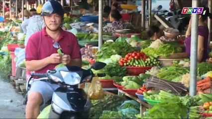 Hạn chế sử dụng túi nilon góp phần bảo vệ môi trường