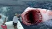 Ataque Animal O Grande Tubarão Branco    Compartilhem para WhatsApp
