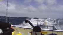 Un skipper du Vendée Globe a percuté une baleine en plein océan indien
