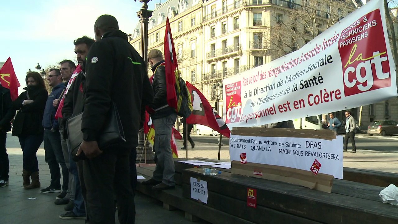 París, ¿a merced de las ratas?