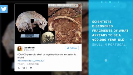 Scientists discover 400,000-year-old skull of mystery human