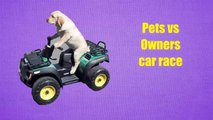 Pets vs owners car race